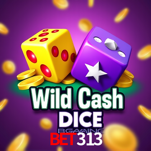 Experiência VIP bet313